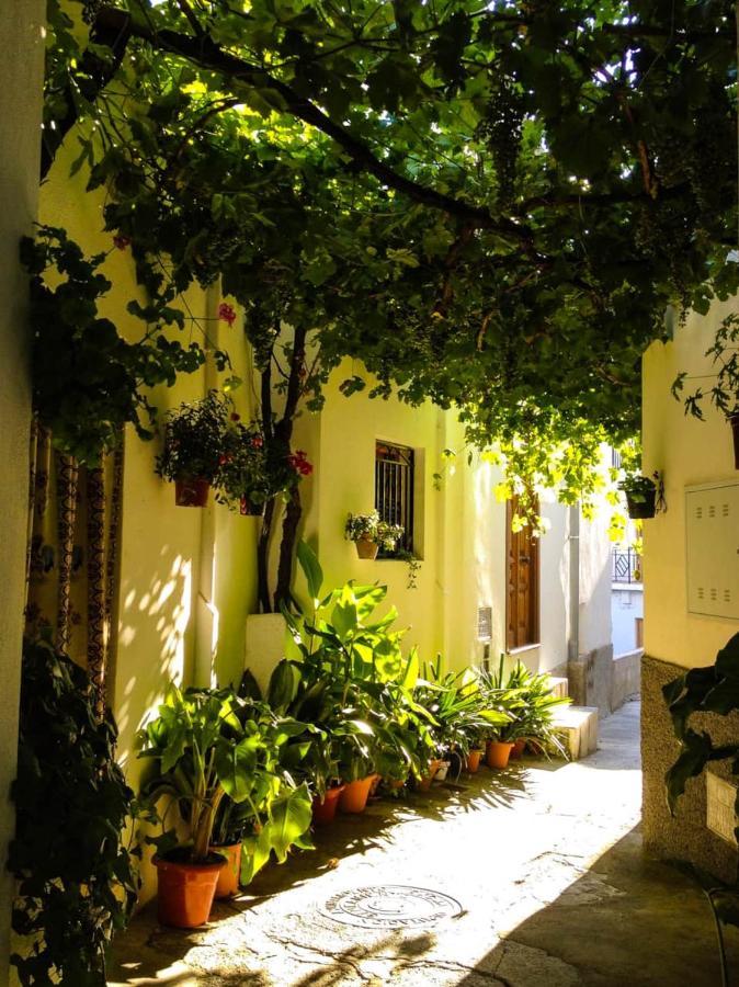 Apartment Casa Corasol, A Cozy, Comfy, 2br House- Panoramic View And Rooftop *